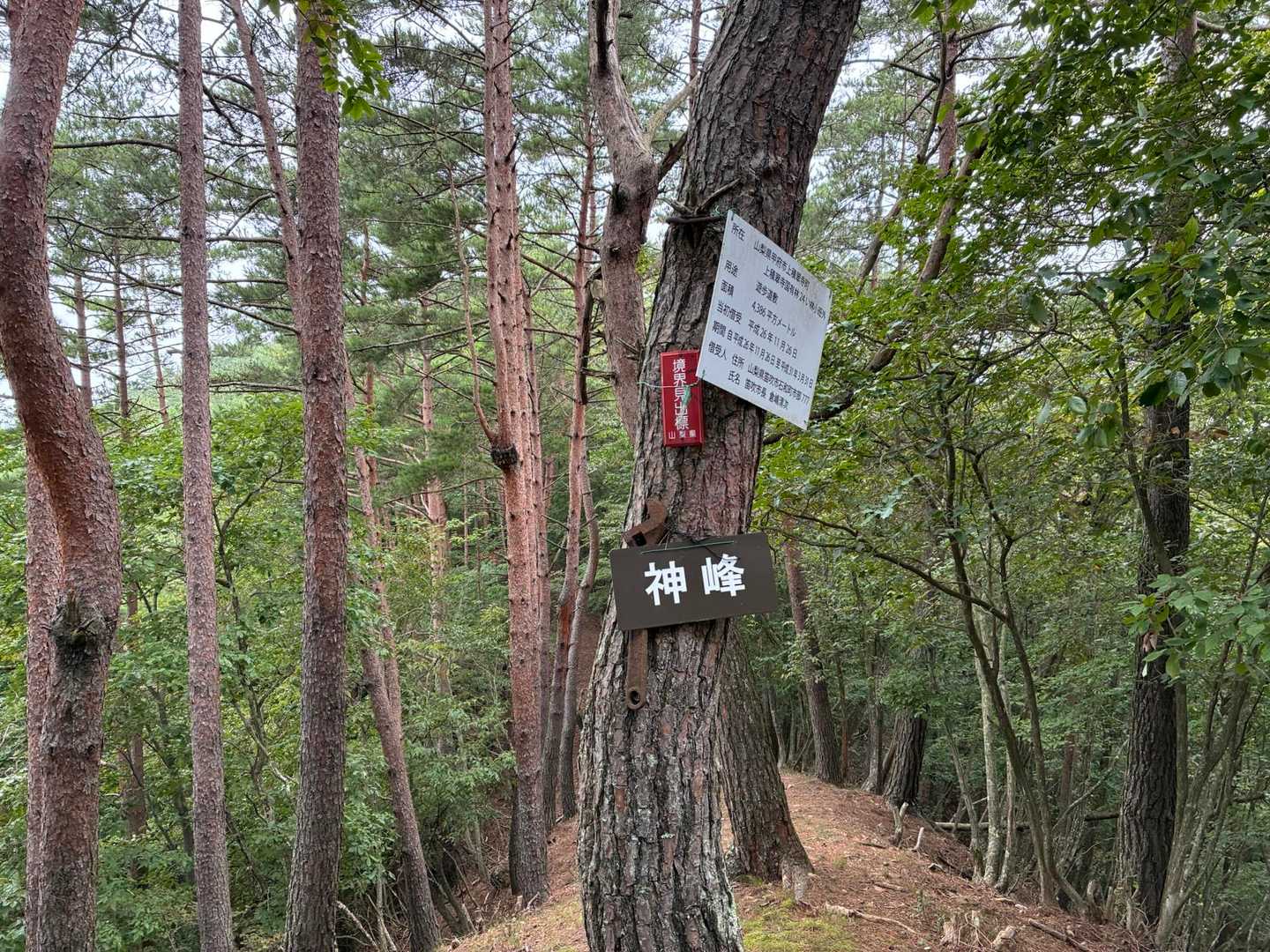 神峰