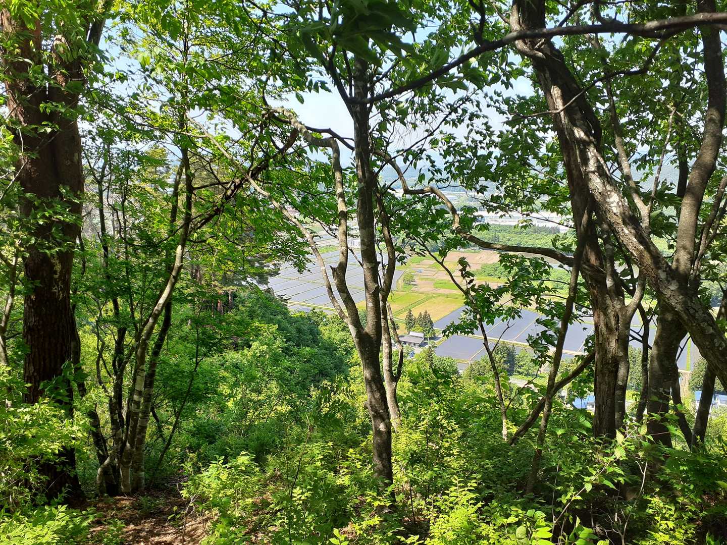 ４月に登ったときより
景色が見えなくなってます