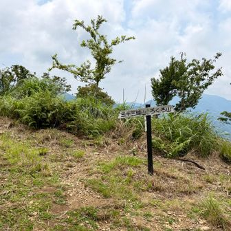 お！！開けたよ🏞️ろくろ山は今日はパス