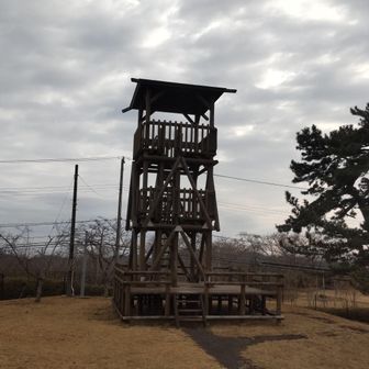 3階建ての展望台
これは登ってみるしかないでしょう