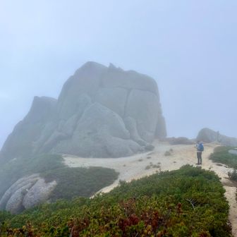 駒岩まで戻ってきたら長い樹林帯歩きが待ってます…