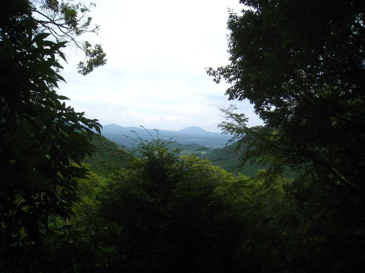 曇天で気温も低めですが、
蒸し暑く汗が吹き出ます。