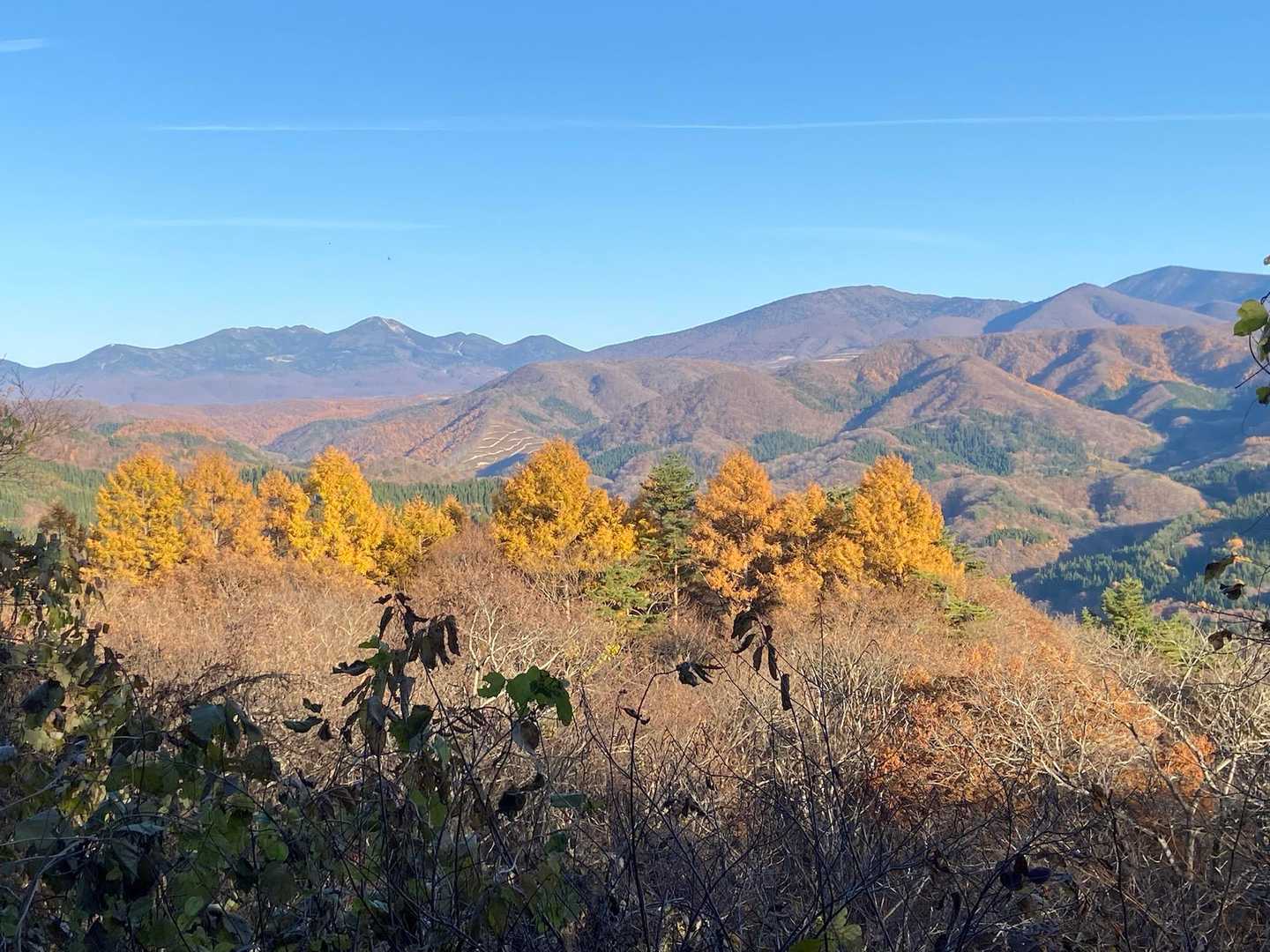 黒森山 往復コースの写真