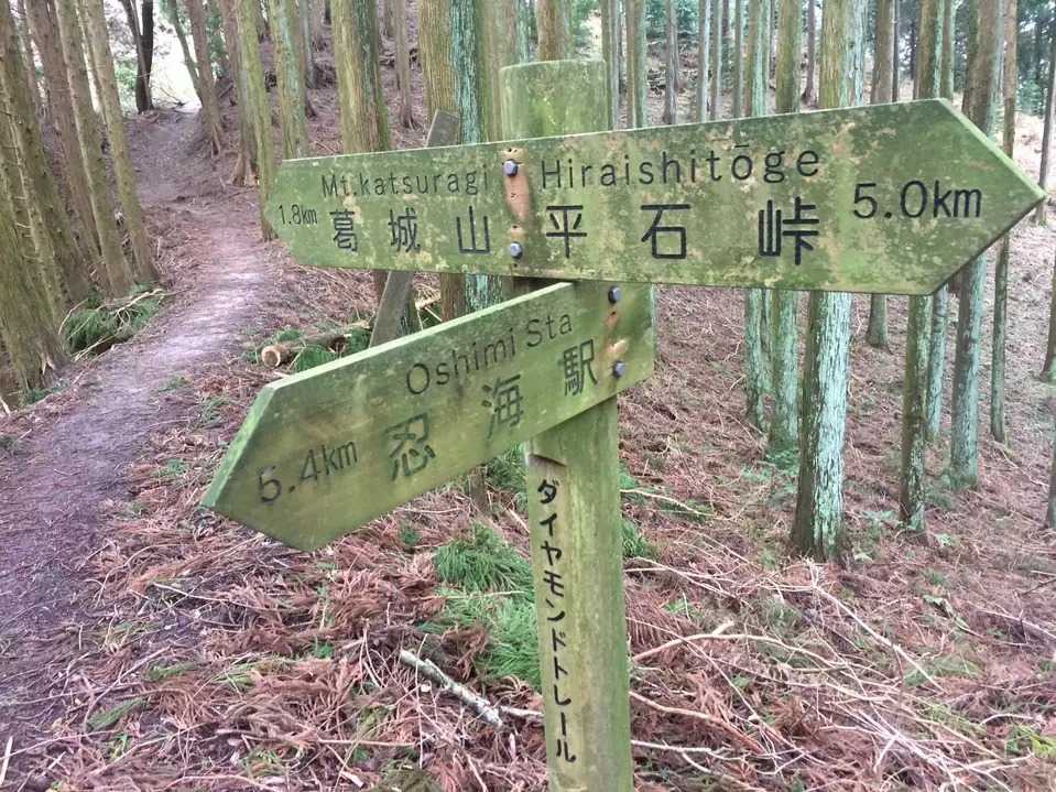 富高山の写真