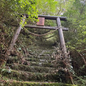 大山神社⛩ 滑りそうなのでやめておく