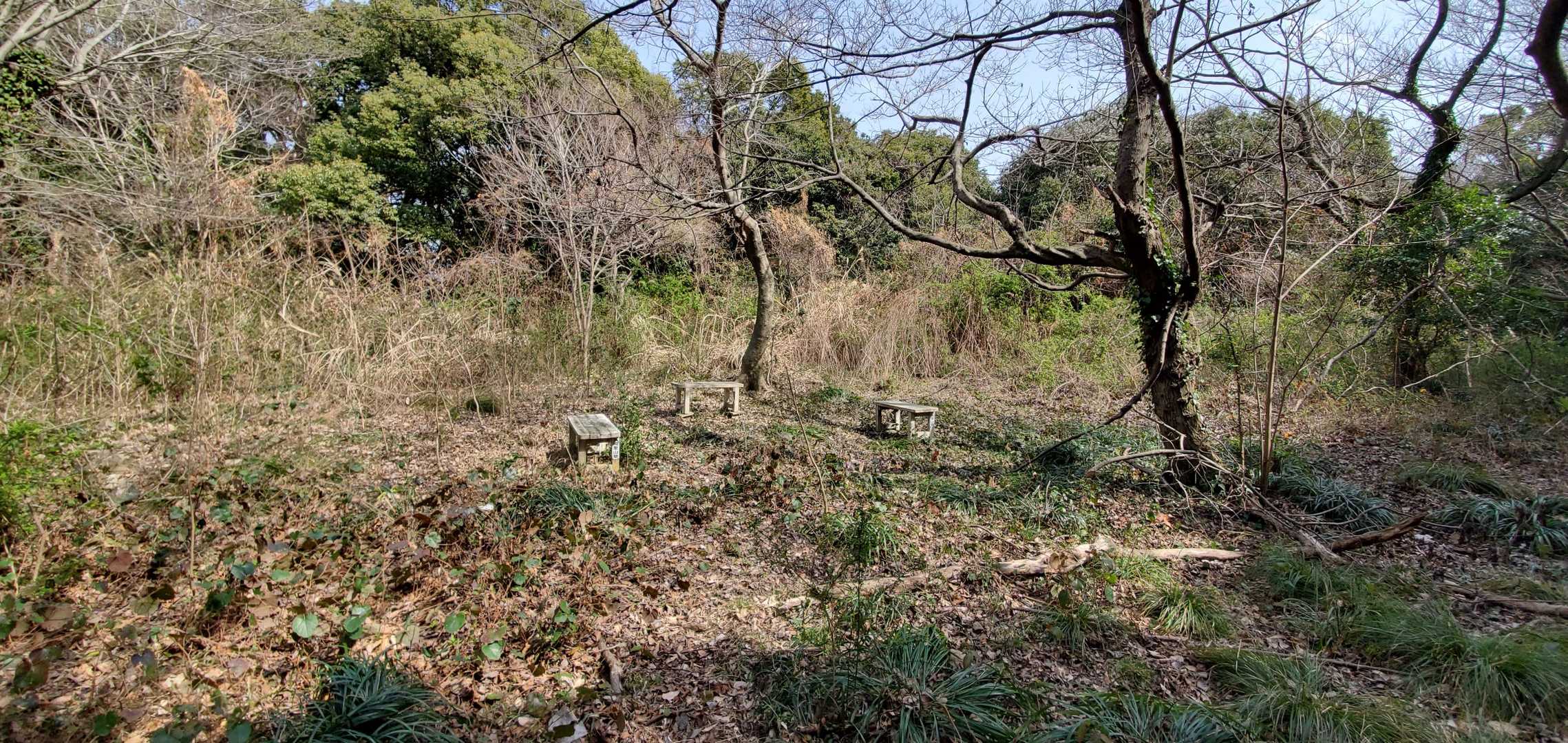 障子岩山⛰️