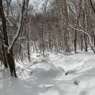 下に隠れている露岩や段差に注意⚠️