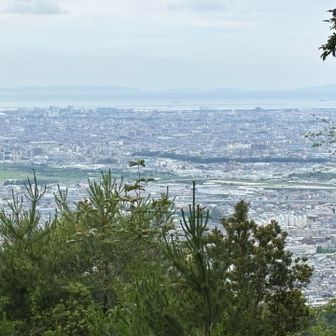 六個山山頂からの眺め
