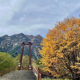 横尾大橋
となりの紅葉が見事です✨