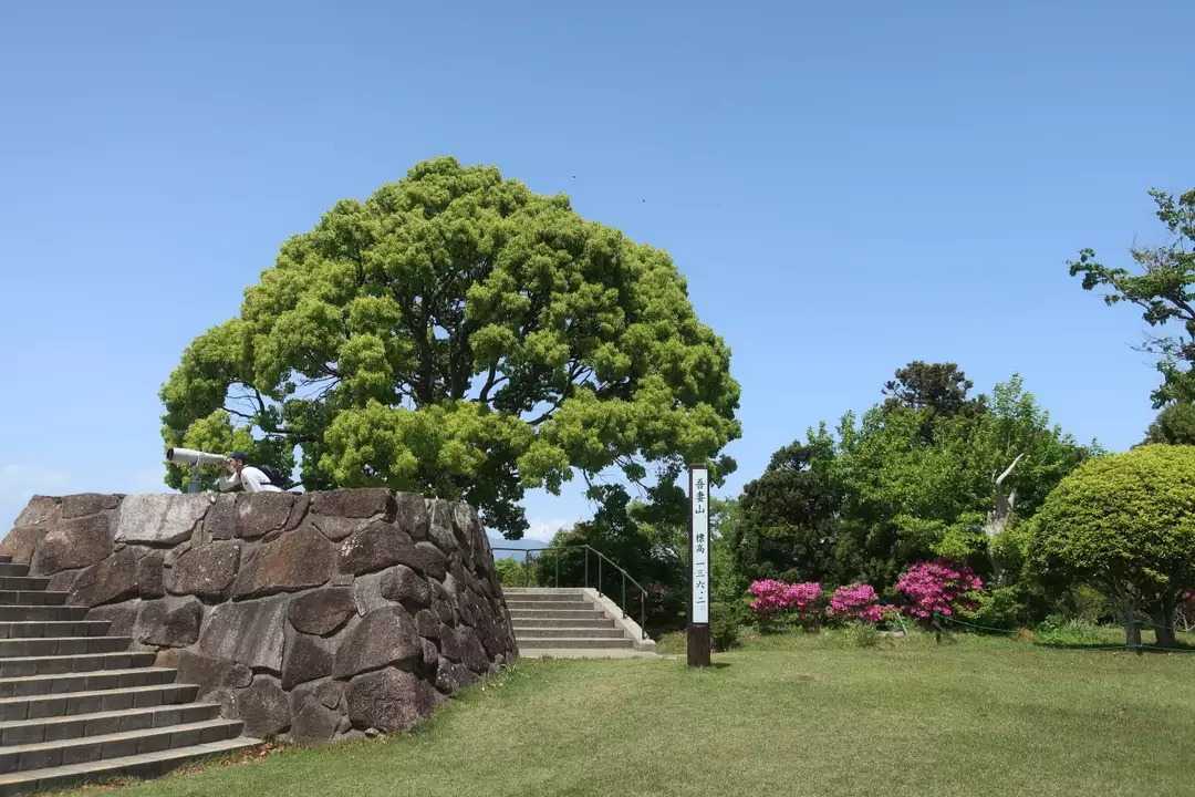 吾妻山の写真