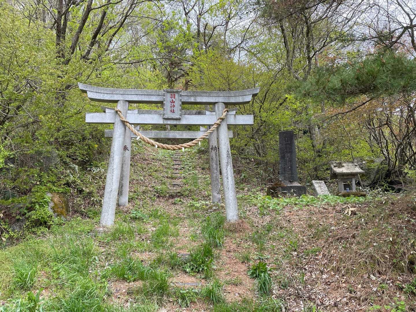 お邪魔しましたとお礼をして⛩️