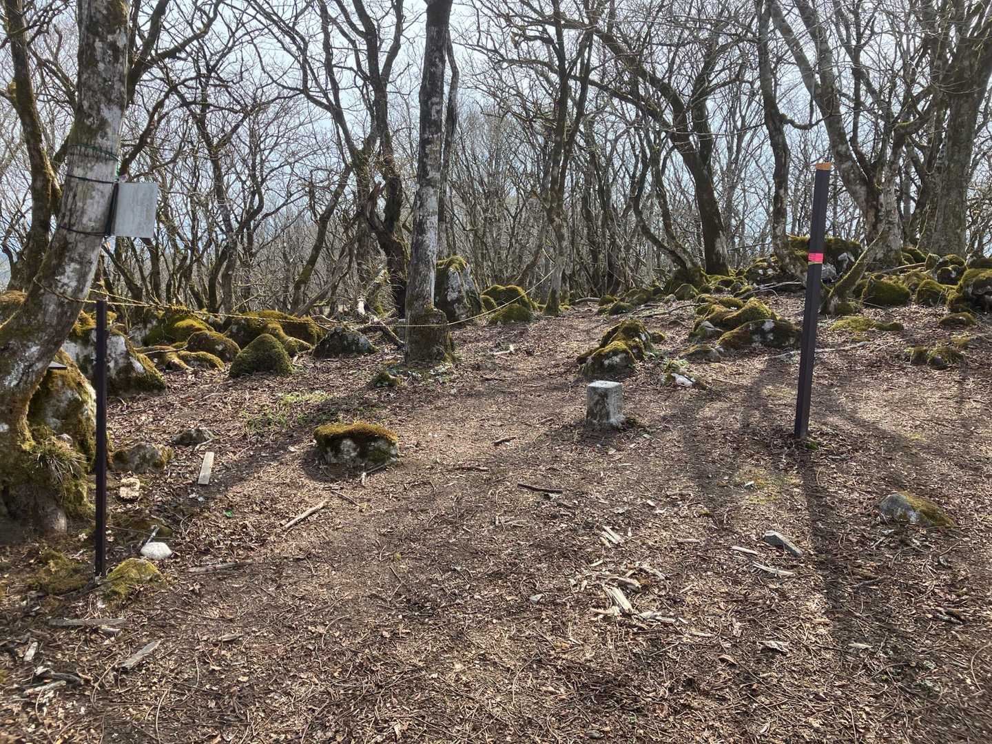 鍋尻山到着
