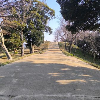 古墳の上、馬の背の部分。
結構広いです。