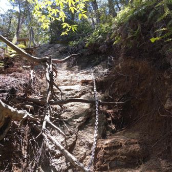 中岳へ、登山道は以前より朽ちている⚠