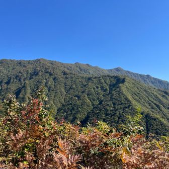 雲が無い