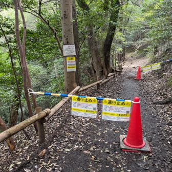あえて山頂行けない瞑想の小径で🚧
山頂寸前の御嶽神社まで行けるけど
🚾🚡🥤🏯には行けません⚠️