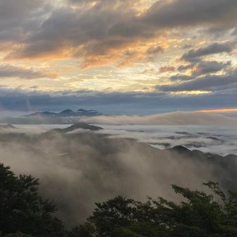 エミル