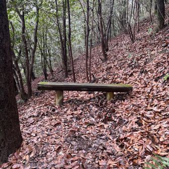 ベンチ見つけたら休憩😄