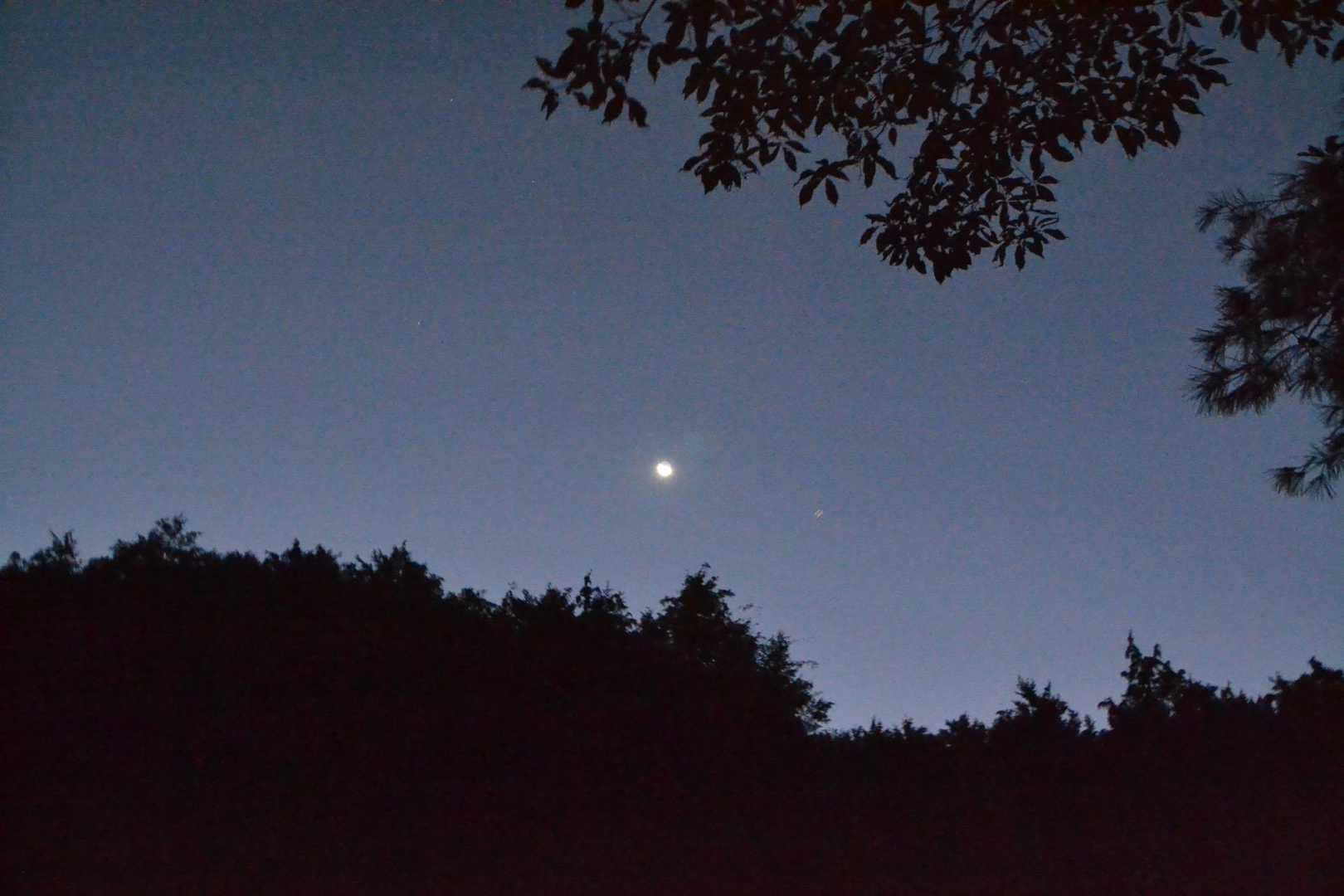 三日月が綺麗だったけど、ブレて満月🌕に見える