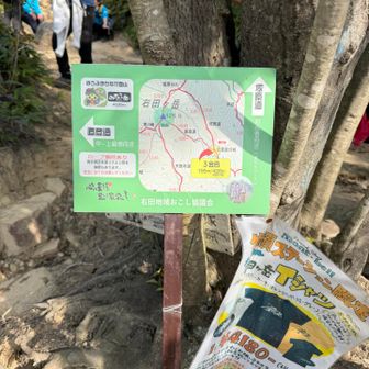 ここが直登ルートの分岐点