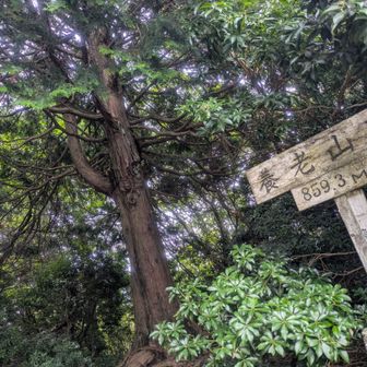 養老山