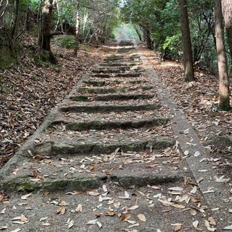 登りやすい階段を上がった先は。。。