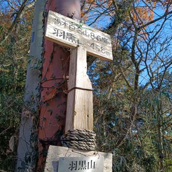 せっかくなので2回登ってみた（笑）
低山とはいえ同じ山に1日に2度登ったのは人生初