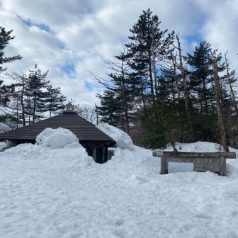 東屋まだ埋まってた