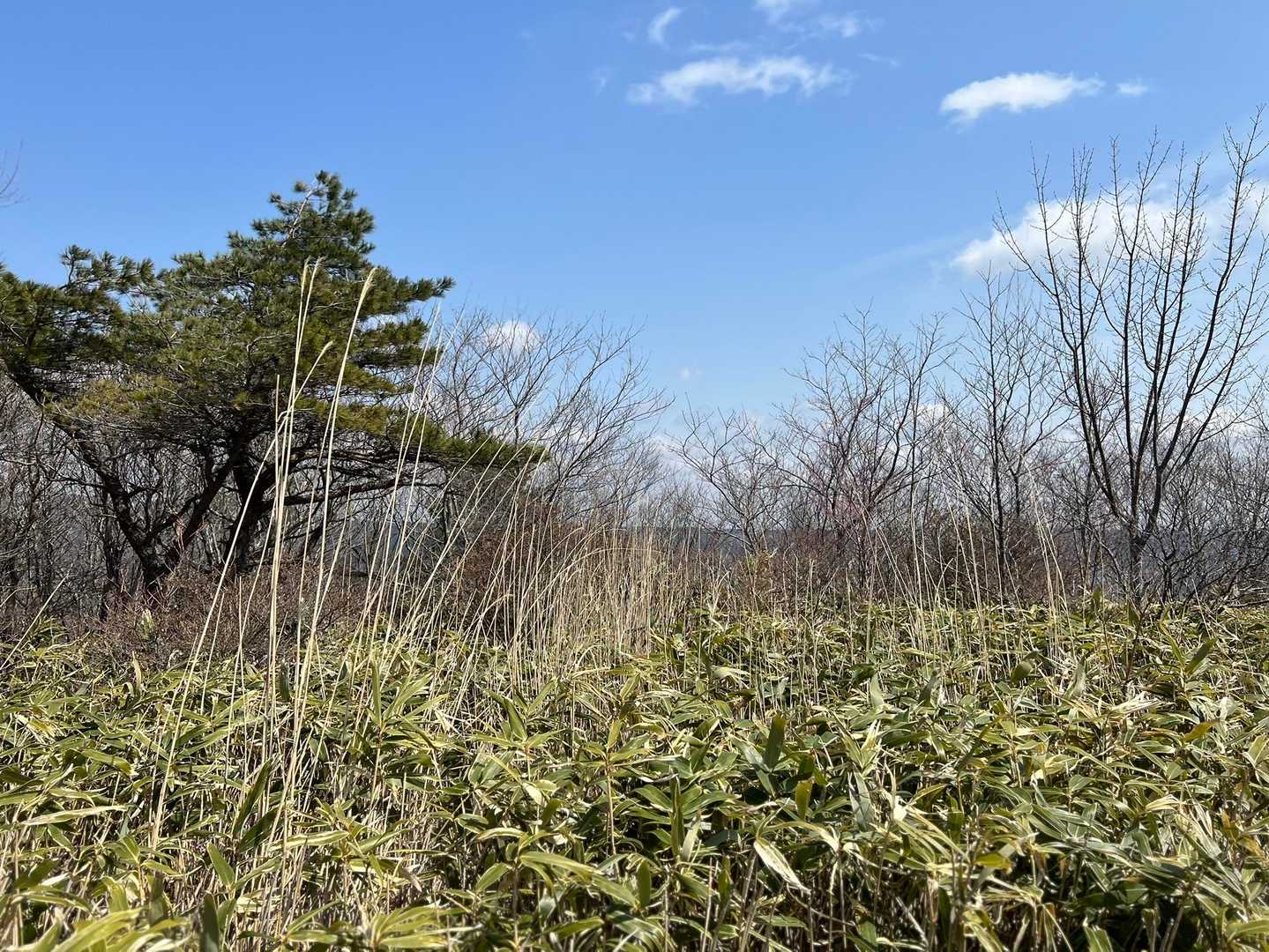 胡桃ヶ岳-胡桃ヶ岳登山口 周回コースの写真