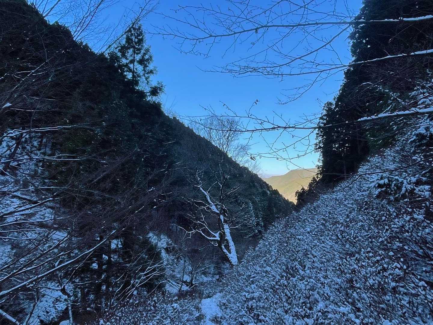 今日は青空🟦🤭