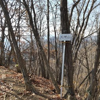 天神山の山頂到着です、あまり眺望はありませんでした