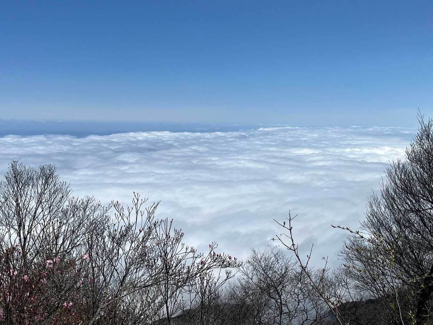 豊受山からの雲海