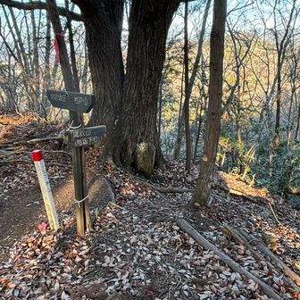 急坂下りって書かれてる…
覚悟してってことかしら
（ロープありましたので必要に応じてロープ掴んで下りれば大丈夫。下り苦手な私は超ゆっくり下りました☺️）