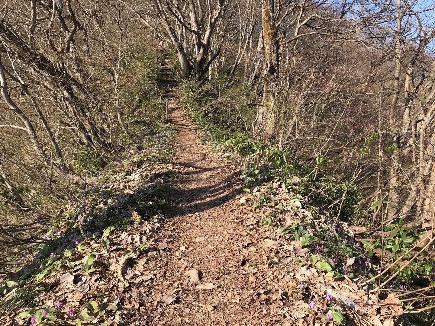 六万騎山 周回コースの写真