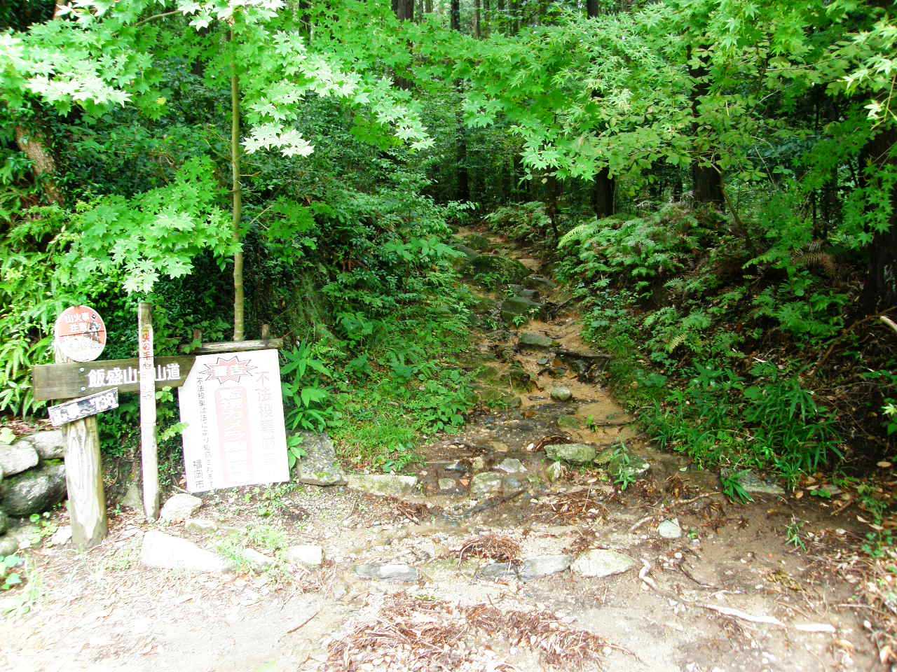 「旧道 修験の道」の入口は若干の川状態( Ꙭ)✧‧˚☪︎⋆｡˚✩
あげん降らぁ、そらぁネェ💦💦💦