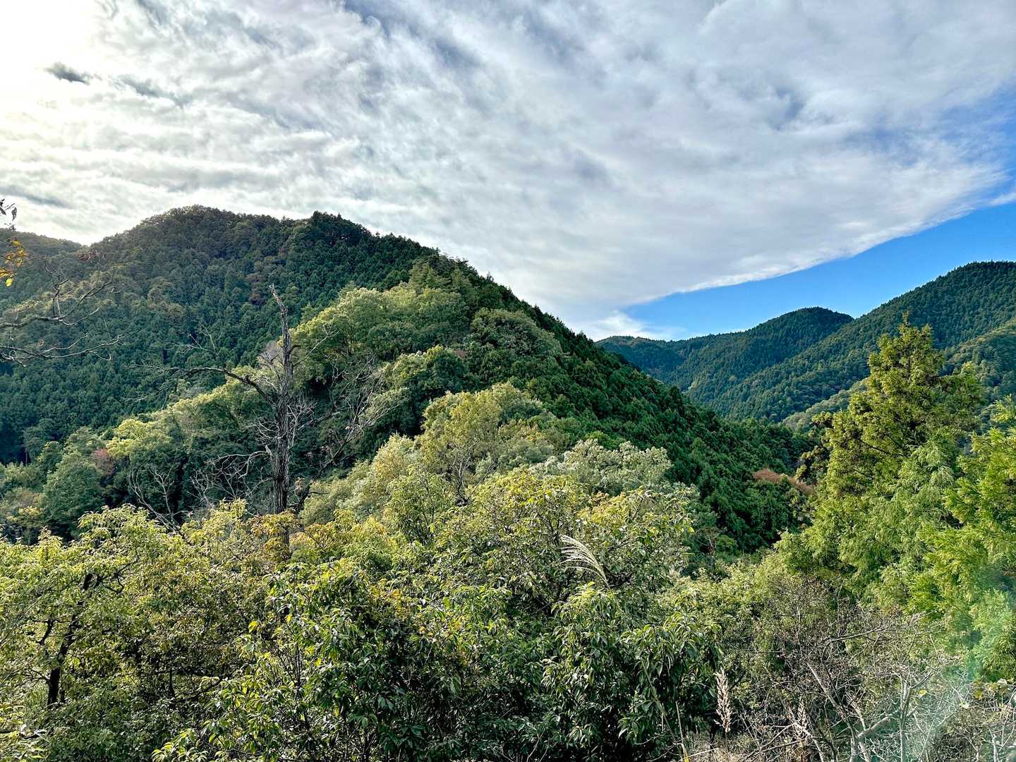 弁天山-桜山 往復コースの写真