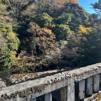 よく寝ました笑