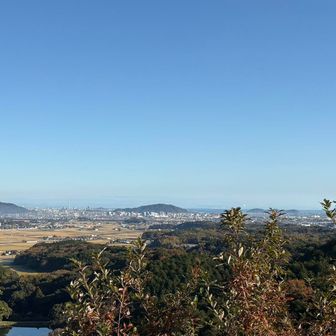 海まで見えます。いい眺め！