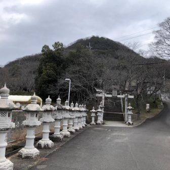 曇って肌寒い天気です。