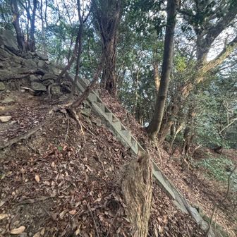 ありえない階段