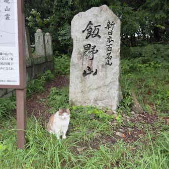 新百名山　だニャー
一緒に撮ろうニャー