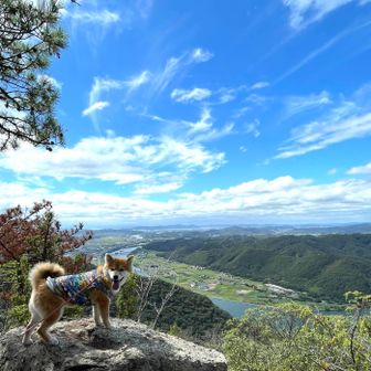 天空の岩の上で✨