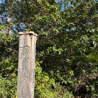 縦走路の道標は、ここを迂回しようとします
ここももちろん急登