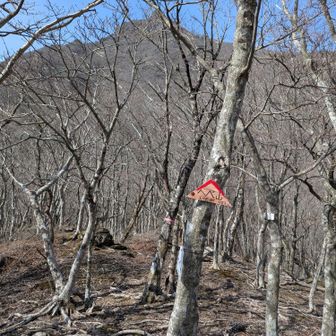 東峰の剣ヶ峰を眺めるようにへべ山の座標