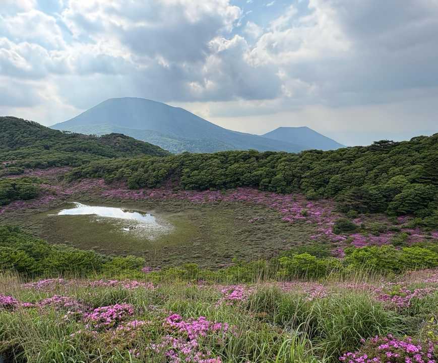 2026.05.30 宮崎県 竜王山  / hasyumamiさんのモーメント | YAMAP