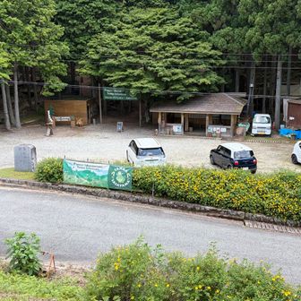 峠まで降りるとForest adventure丹波篠山がありますので、御嶽に登るだけならココまで車で来れちゃいます。
ココからなら1時間かからないはず😙