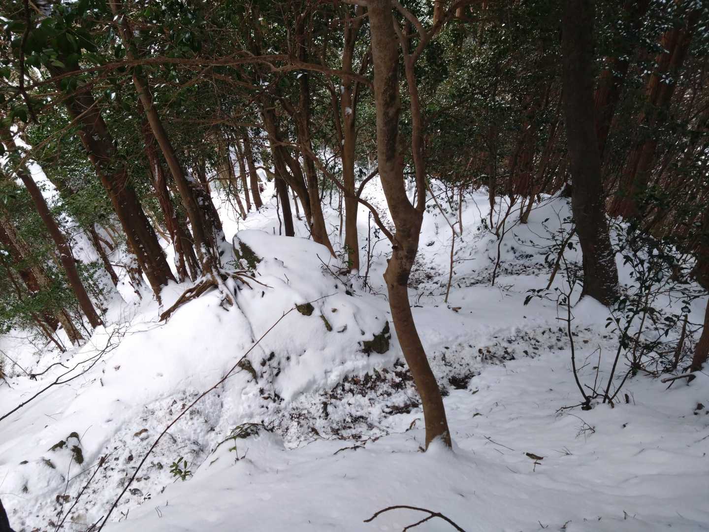 土と落ち葉が見えて来た、
もっと雪が見たいも帰らねば(⁠T⁠T⁠)