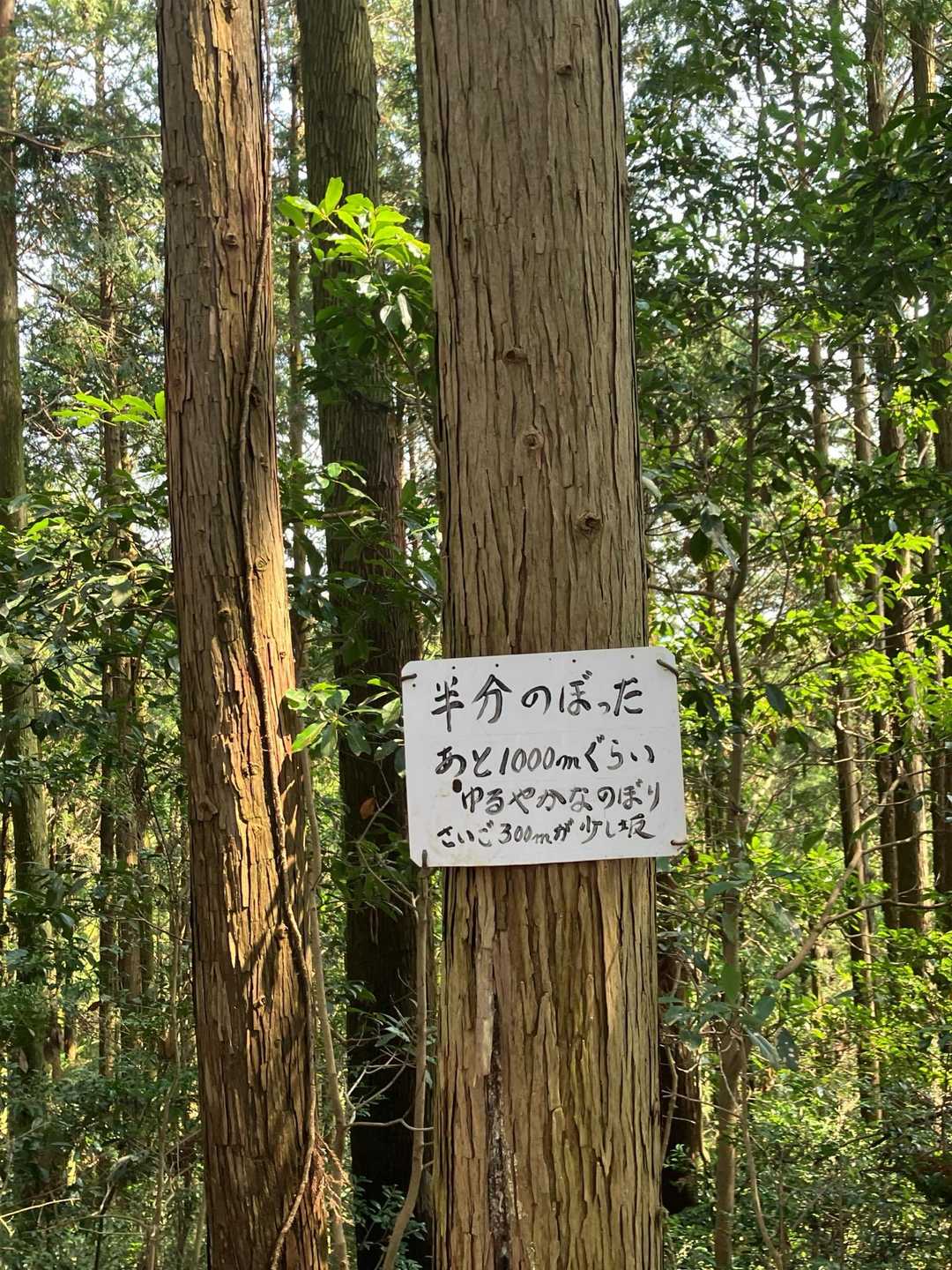 半分❣️