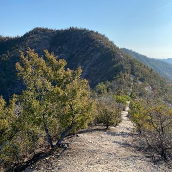 間ノ峰から次の穂高と続く登山道