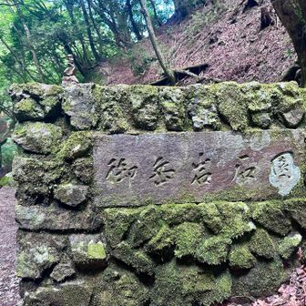ロックガーデンに参ります💁
